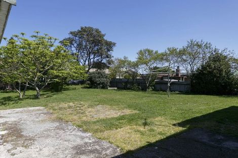 Photo of property in 53 Scannell Street, Taupo, 3330