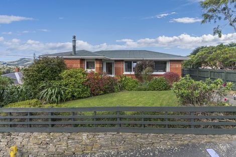 Photo of property in 51 Glenholm Street, Glenleith, Dunedin, 9010
