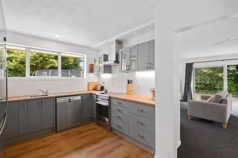 Photo of property in 107 Forest Drive, Methven, 7730