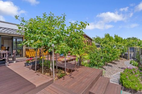Photo of property in 9 Mohill Place, East Tamaki Heights, Auckland, 2016