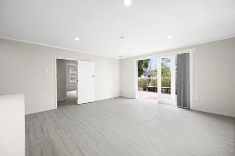 Photo of property in 60 Alfred Street, Fairfield, Hamilton, 3214