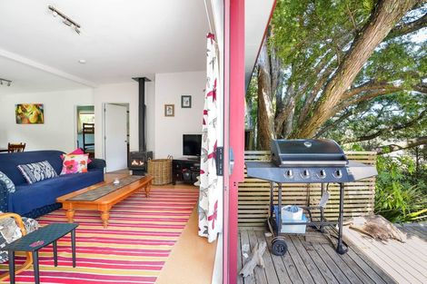 Photo of property in 50 Totara Avenue, Collingwood, 7073