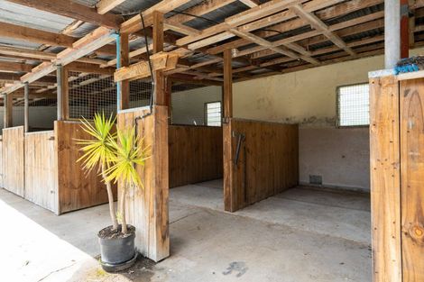 Photo of property in 67 Peake Road, Cambridge, 3493