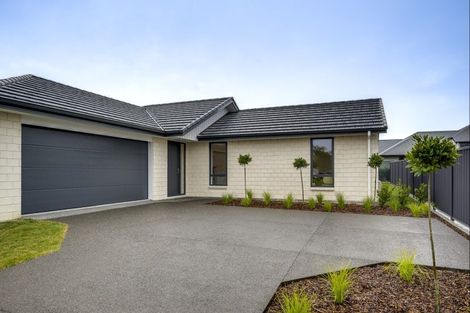 Photo of property in 6 Matau Crescent, Frimley, Hastings, 4120