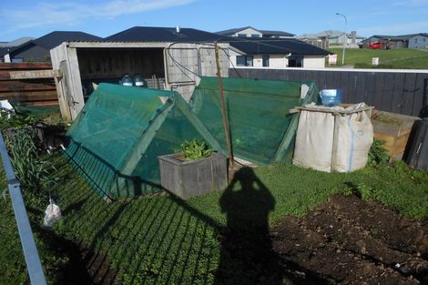 Photo of property in 24 Hillcrest Street, Tirau, 3410