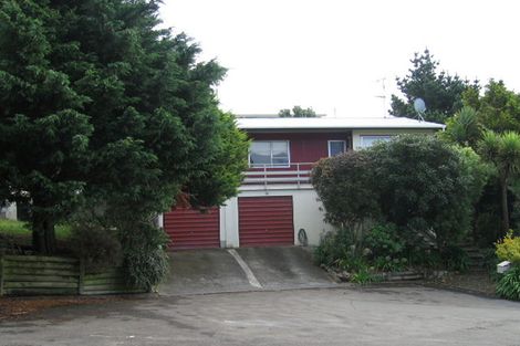Photo of property in 30 Trebann Street, Paparangi, Wellington, 6037