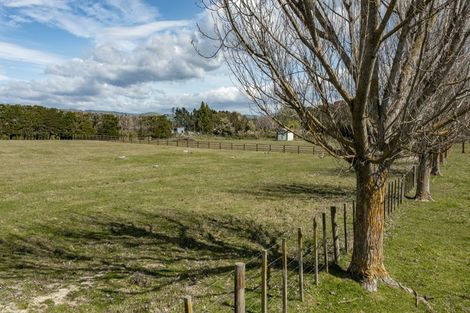 Photo of property in 310c Porangahau Road, Waipukurau, 4282