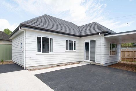 Photo of property in 46a Pollen Crescent, Melville, Hamilton, 3206