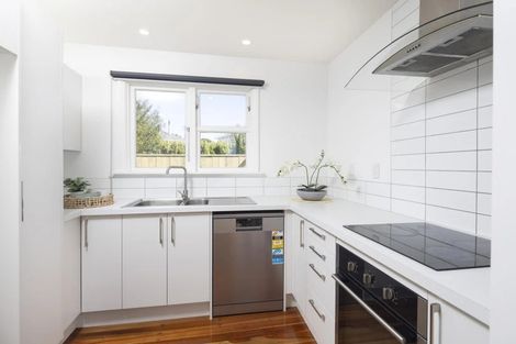 Photo of property in 43a Caldwell Street, Brockville, Dunedin, 9011