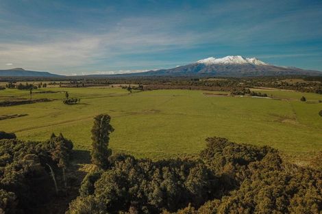 Photo of property in 136 Matapuna Road, Horopito, Raetihi, 4696