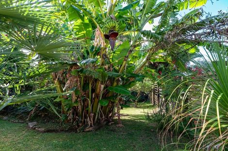 Photo of property in 18 Manson Street, Gate Pa, Tauranga, 3112