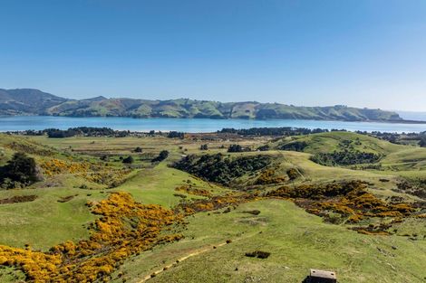 Photo of property in 452 Harington Point Road, Lower Portobello, Dunedin, 9077