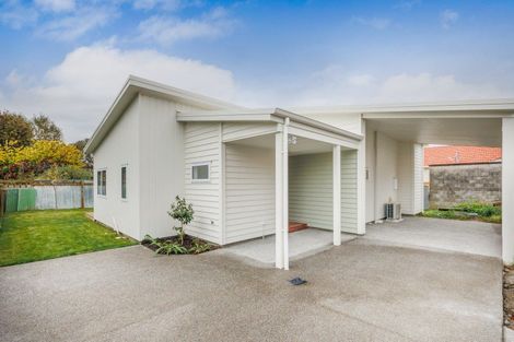 Photo of property in 121a Limbrick Street, Terrace End, Palmerston North, 4410