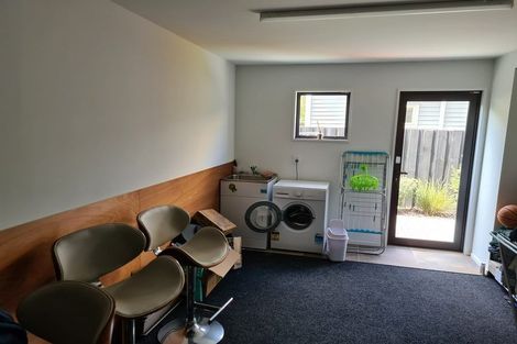 Photo of property in 58 Edward Avenue, Edgeware, Christchurch, 8013