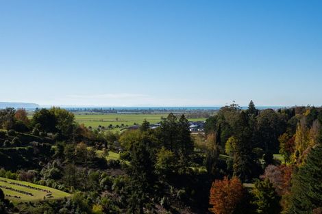 Photo of property in 86 Oak Road, Poraiti, Napier, 4112