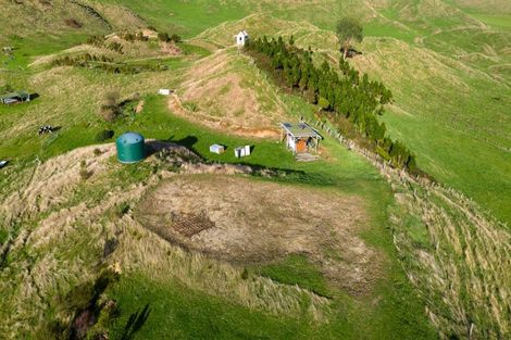 Photo of property in 111 Tarver Lane, Pikowai, 3194