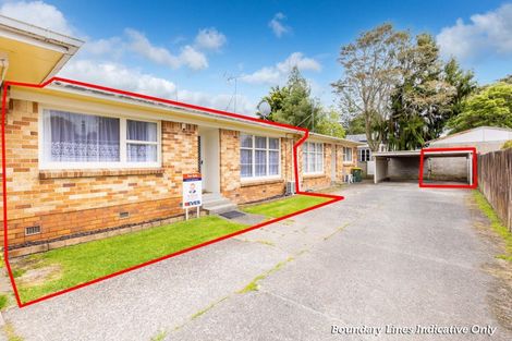 Photo of property in 141b Galloway Street, Hamilton East, Hamilton, 3216