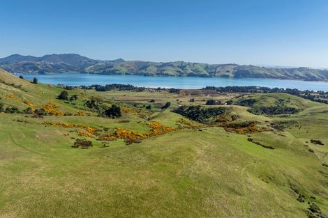 Photo of property in 452 Harington Point Road, Lower Portobello, Dunedin, 9077