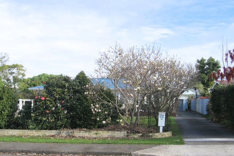 Photo of property in 815 Maitland Crescent, Mayfair, Hastings, 4122