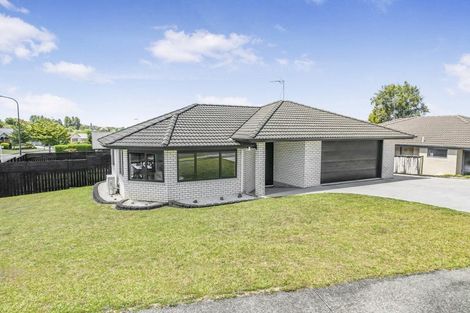 Photo of property in 1 Harrogate Place, Grandview Heights, Hamilton, 3200