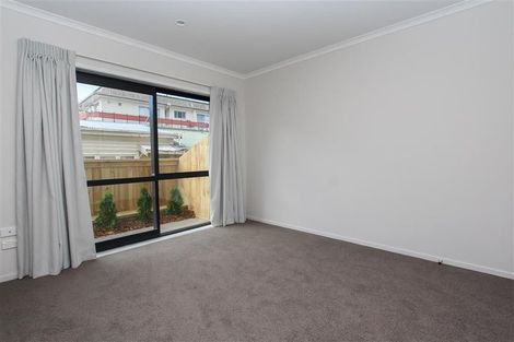 Photo of property in 18u7 Hunter Street, Hamilton Lake, Hamilton, 3204