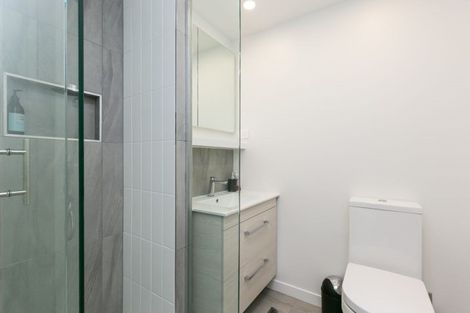 Photo of property in Vsp South, 205/168u Victoria Street, Te Aro, Wellington, 6011