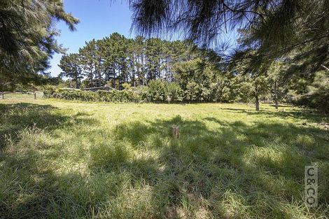 Photo of property in 306 Taiapa Road, Muriwai, 0881