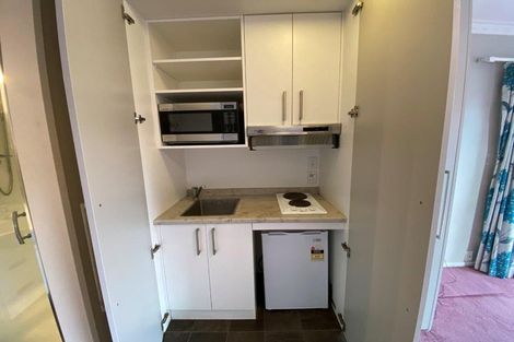 Photo of property in 223e The Terrace, Wellington Central, Wellington, 6011