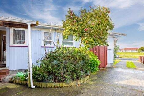 Photo of property in 24 Essex Street, Tamatea, Napier, 4112