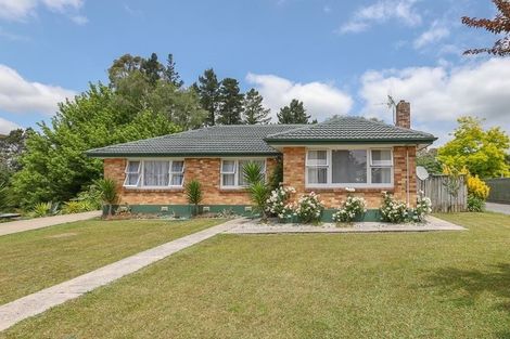 Photo of property in 81 Pine Avenue, Melville, Hamilton, 3206