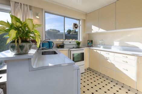 Photo of property in 119 Maxwell Road, Blenheim, 7201