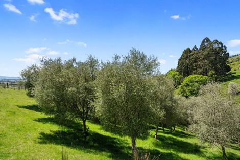 Photo of property in 231 Aniseed Valley Road, Aniseed Valley, Richmond, 7081