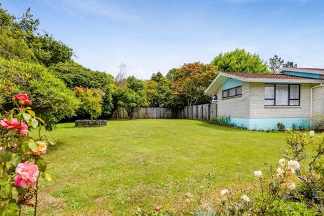 Photo of property in 210 Regan Street, Stratford, 4332