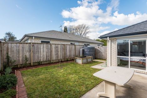 Photo of property in 1/103 Bruce Avenue, Glenview, Hamilton, 3206