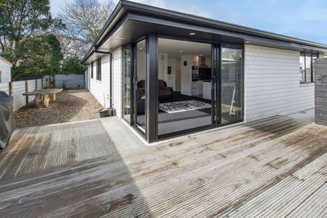 Photo of property in 114a Hamlet Street, Stratford, 4332