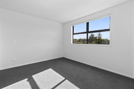 Photo of property in 102 Swayne Road, Cambridge, 3434