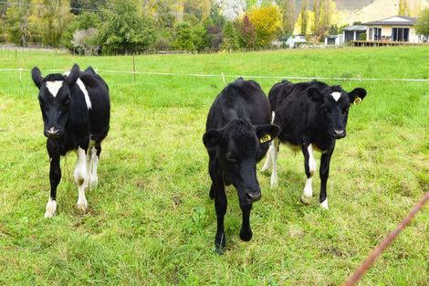 Photo of property in 1038 State Highway 4, Parikino, Whanganui, 4573