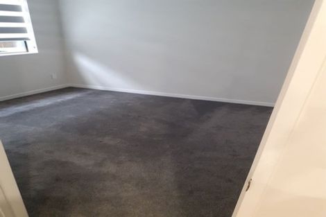 Photo of property in 45 Drumnaconagher Road, Flat Bush, Auckland, 2019