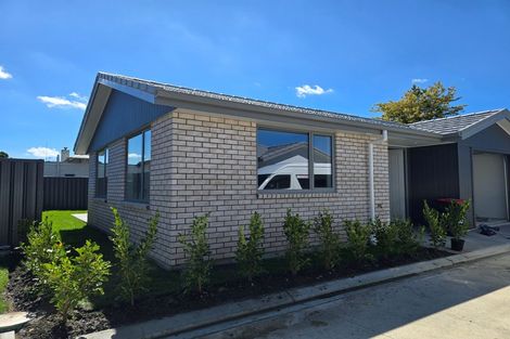 Photo of property in 113 Davis Street, Saint Leonards, Hastings, 4120