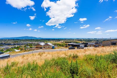 Photo of property in 87 Kotare Street, Waikanae, 5036