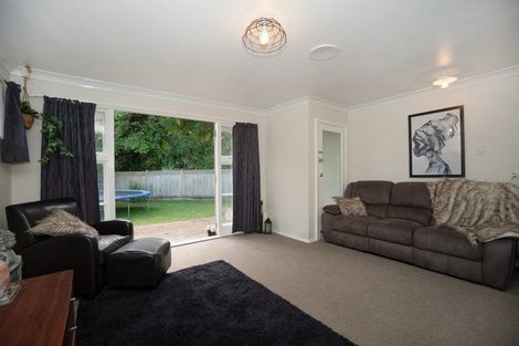 Photo of property in 4a Freyberg Street, Roslyn, Palmerston North, 4414