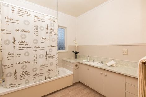 Photo of property in 132 Porangahau Road, Waipukurau, 4200