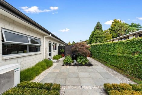 Photo of property in 50u1 Kowhai Street, Hamilton Lake, Hamilton, 3204