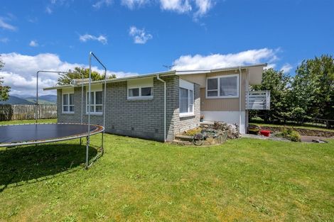 Photo of property in 11 Conway Street, Levin, 5510
