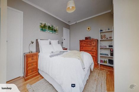 Photo of property in 53 Graham Street, Hamilton East, Hamilton, 3216