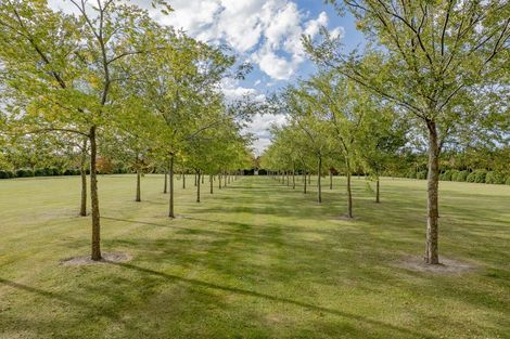 Photo of property in 325 Purchas Road, Glasnevin, Amberley, 7482