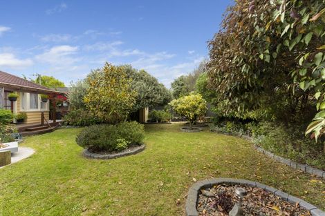 Photo of property in 15 Rainforth Street, Roslyn, Palmerston North, 4414
