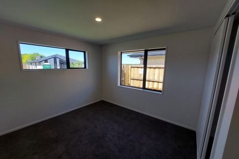 Photo of property in 19 Mccormick Lane, Rolleston, 7615