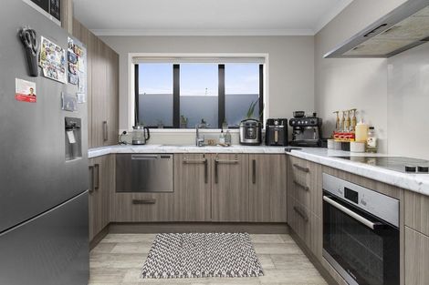 Photo of property in 30u3 Willoughby Street, Whitiora, Hamilton, 3200