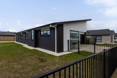 Photo of property in 104 Hinemoa Street, Levin, 5510